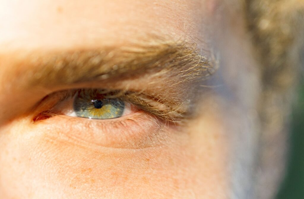 A close-up of a man's blue eye in sunlight.