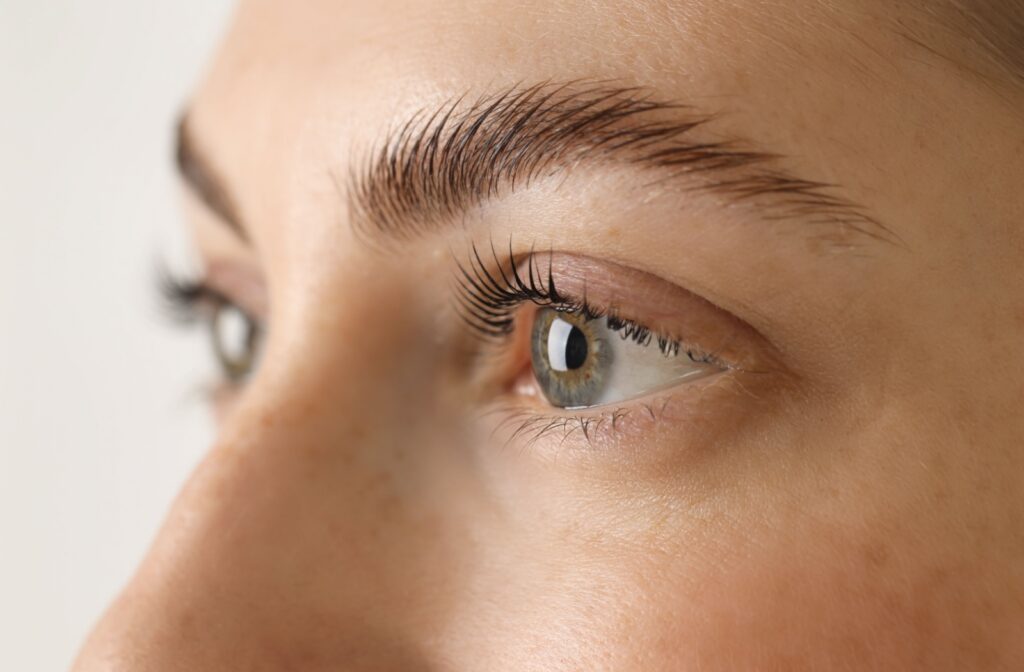 A close up of perfectly healthy eyes